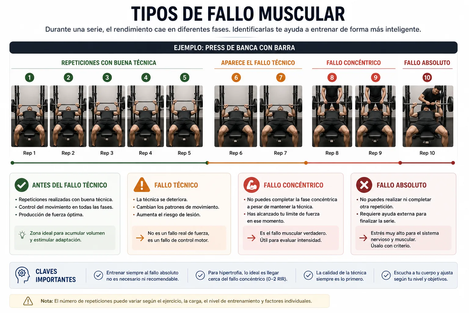représentation des différents types d'insuffisance musculaire
