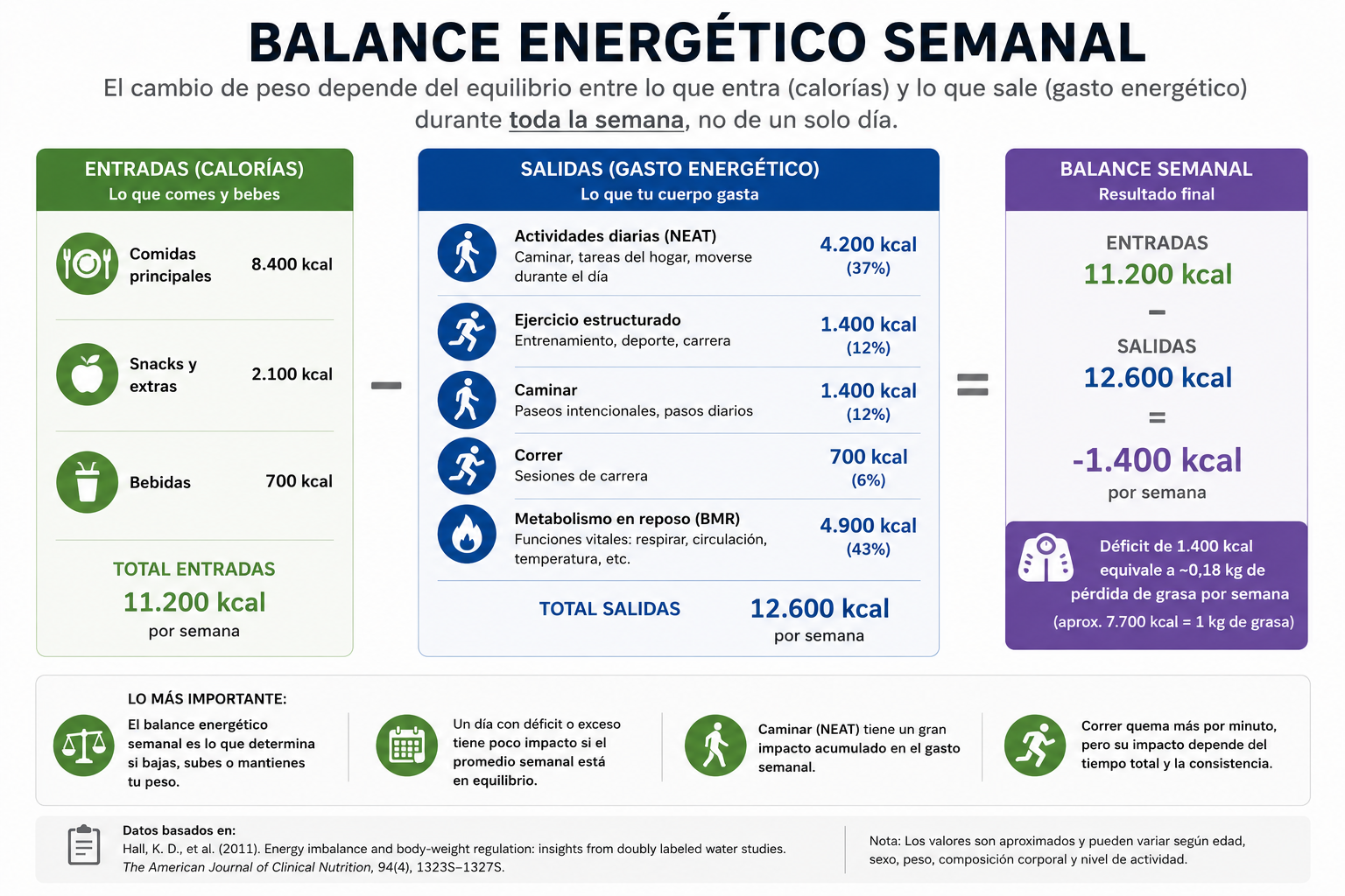 balanço energético semanal