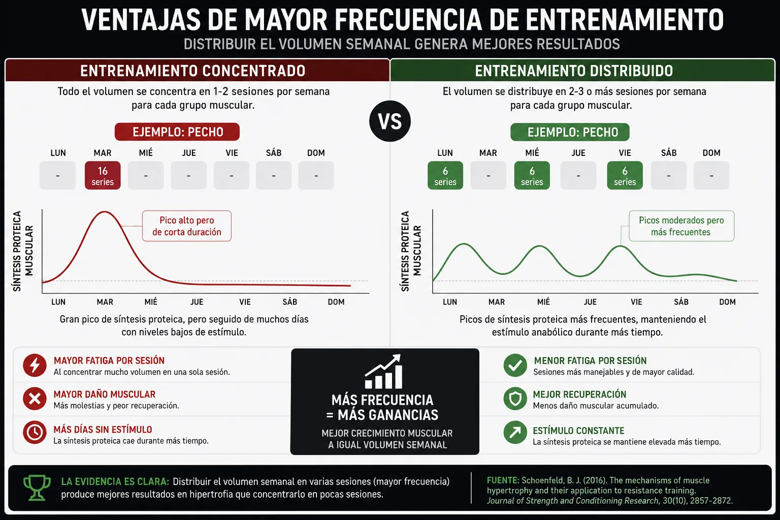ventajas de mayor frecuencia de entrenamiento