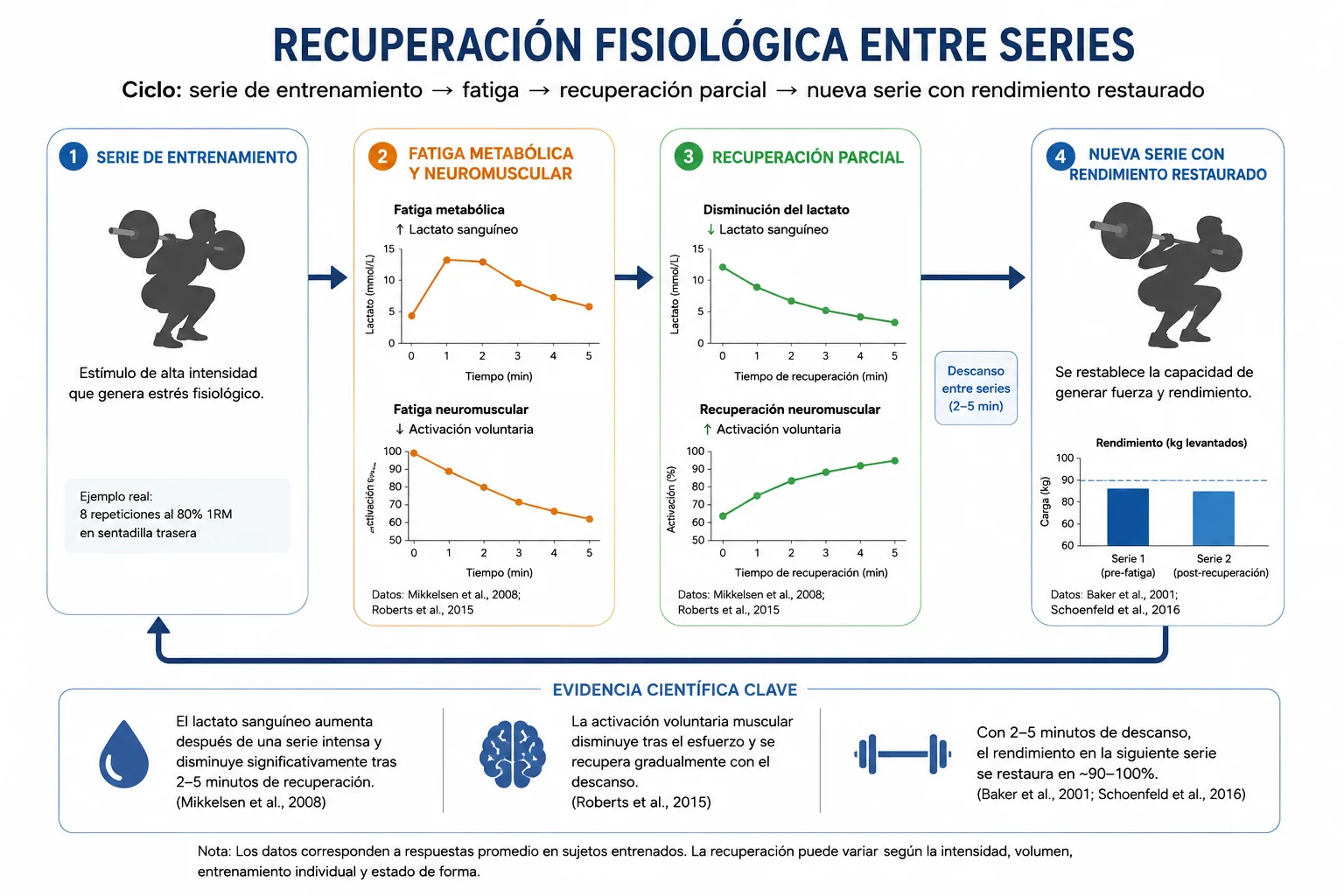 recuperación fisiológica entre series