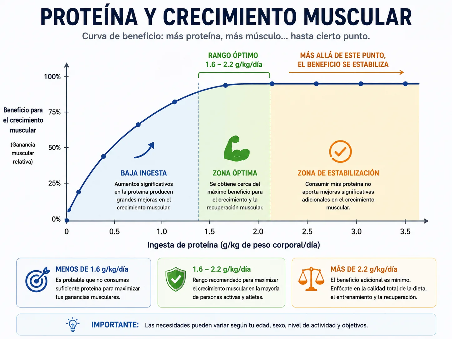 Courbe des bénéfices en matière de protéines par rapport à la croissance musculaire